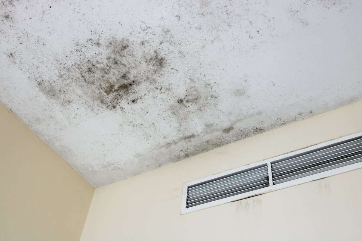 Ceiling mold